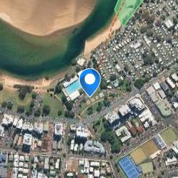 Cotton Tree